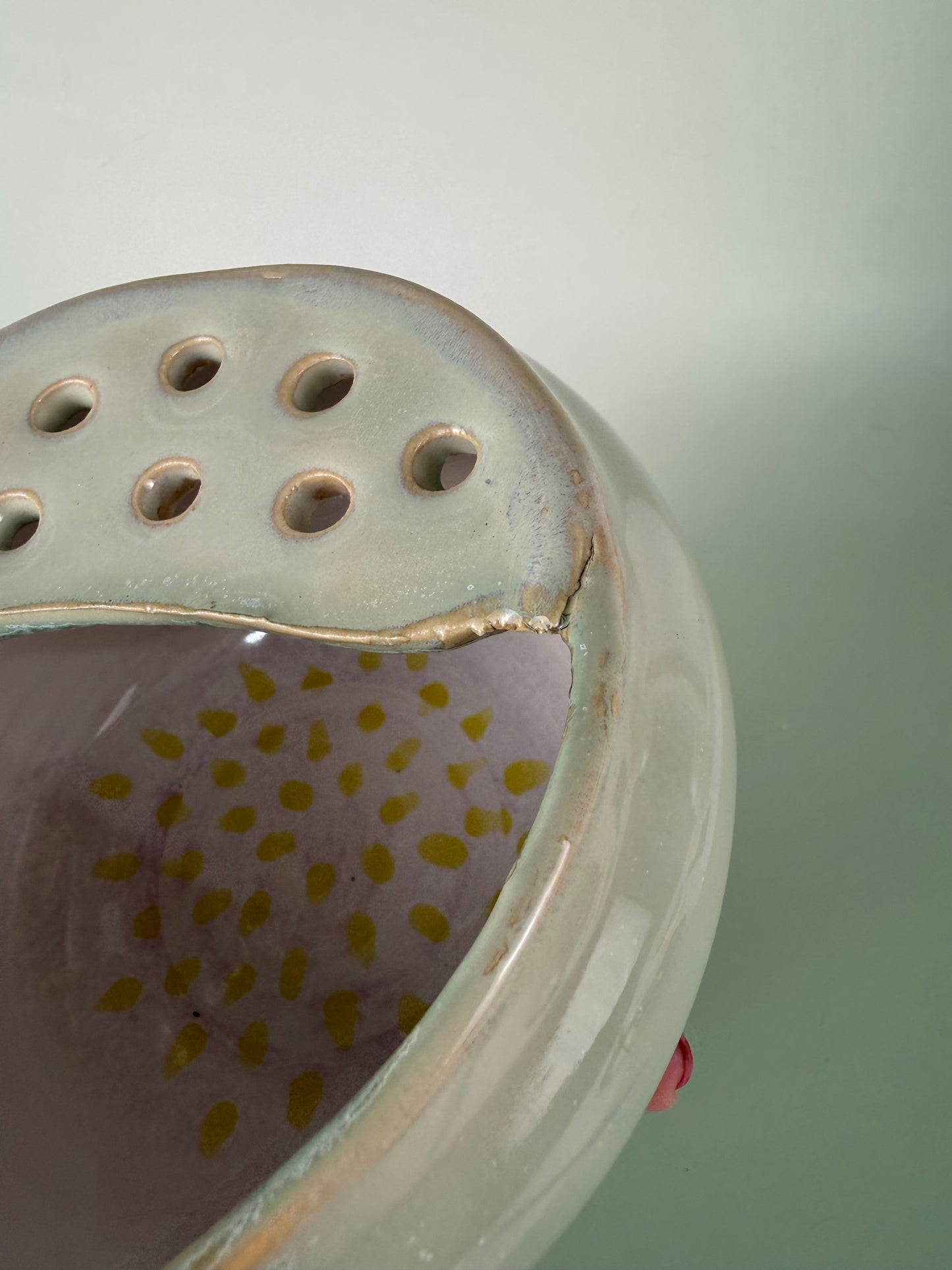 Fig berry bowl 3