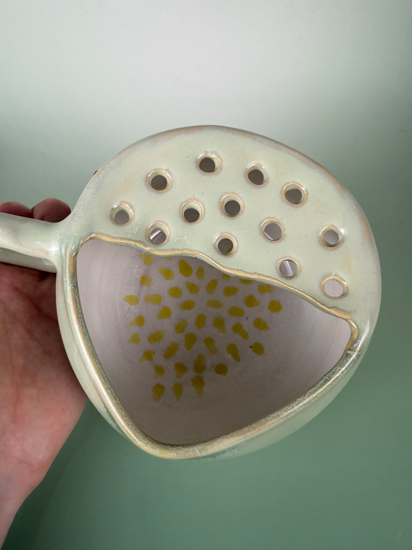 Fig berry bowl 2
