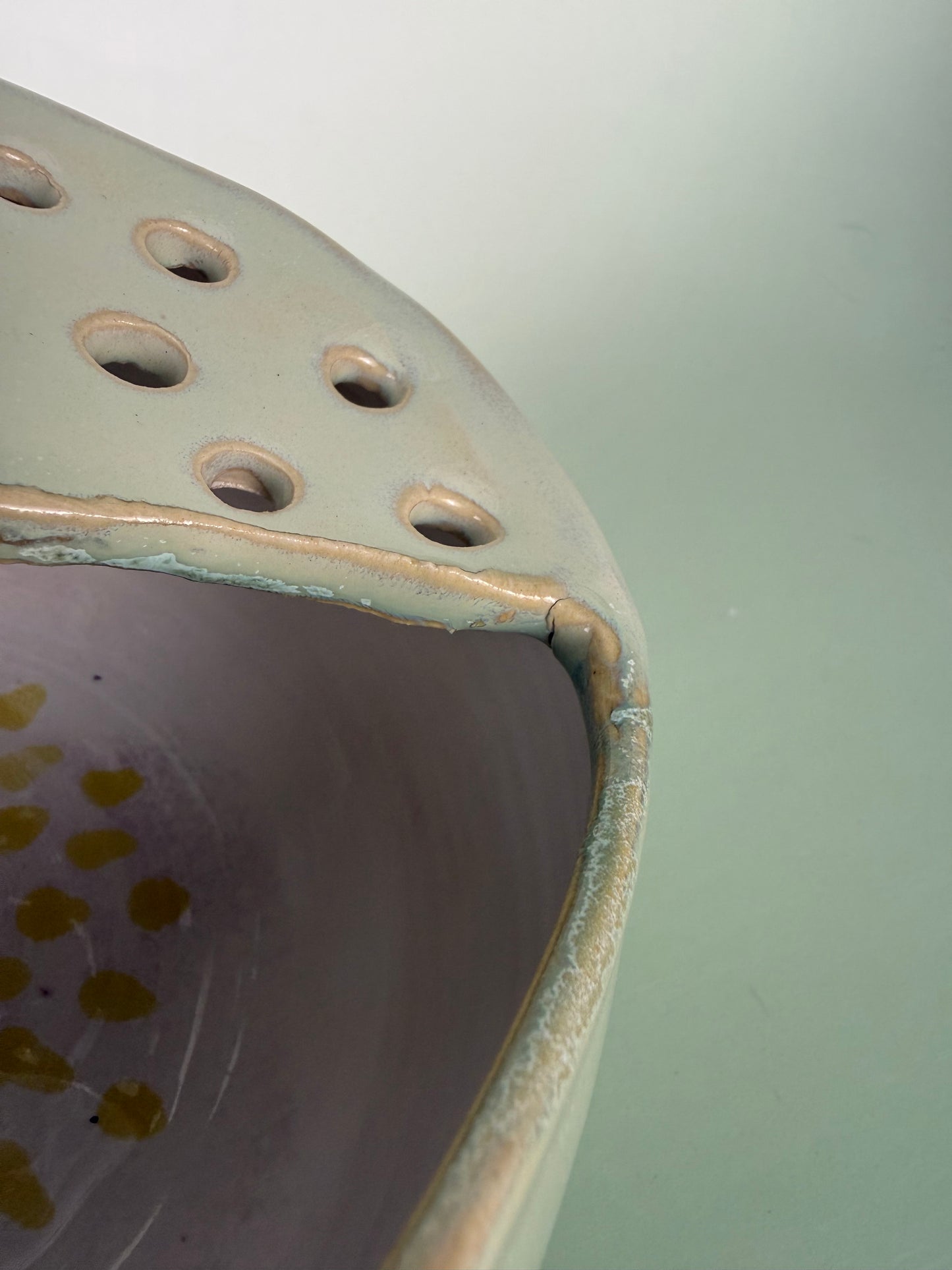 Fig berry bowl 2