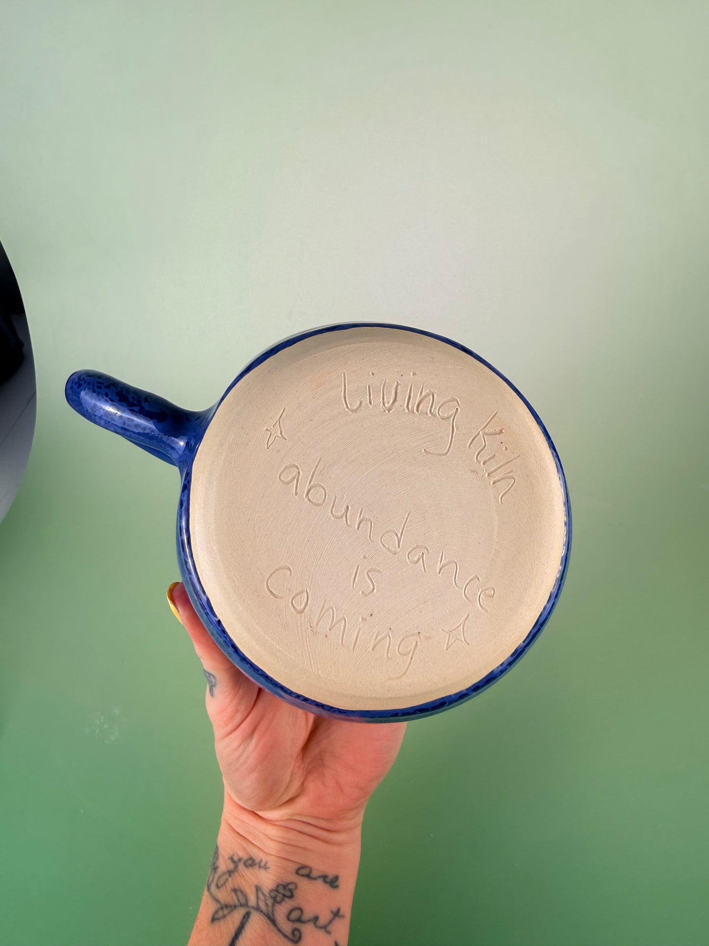 Blueberry berry bowl #4