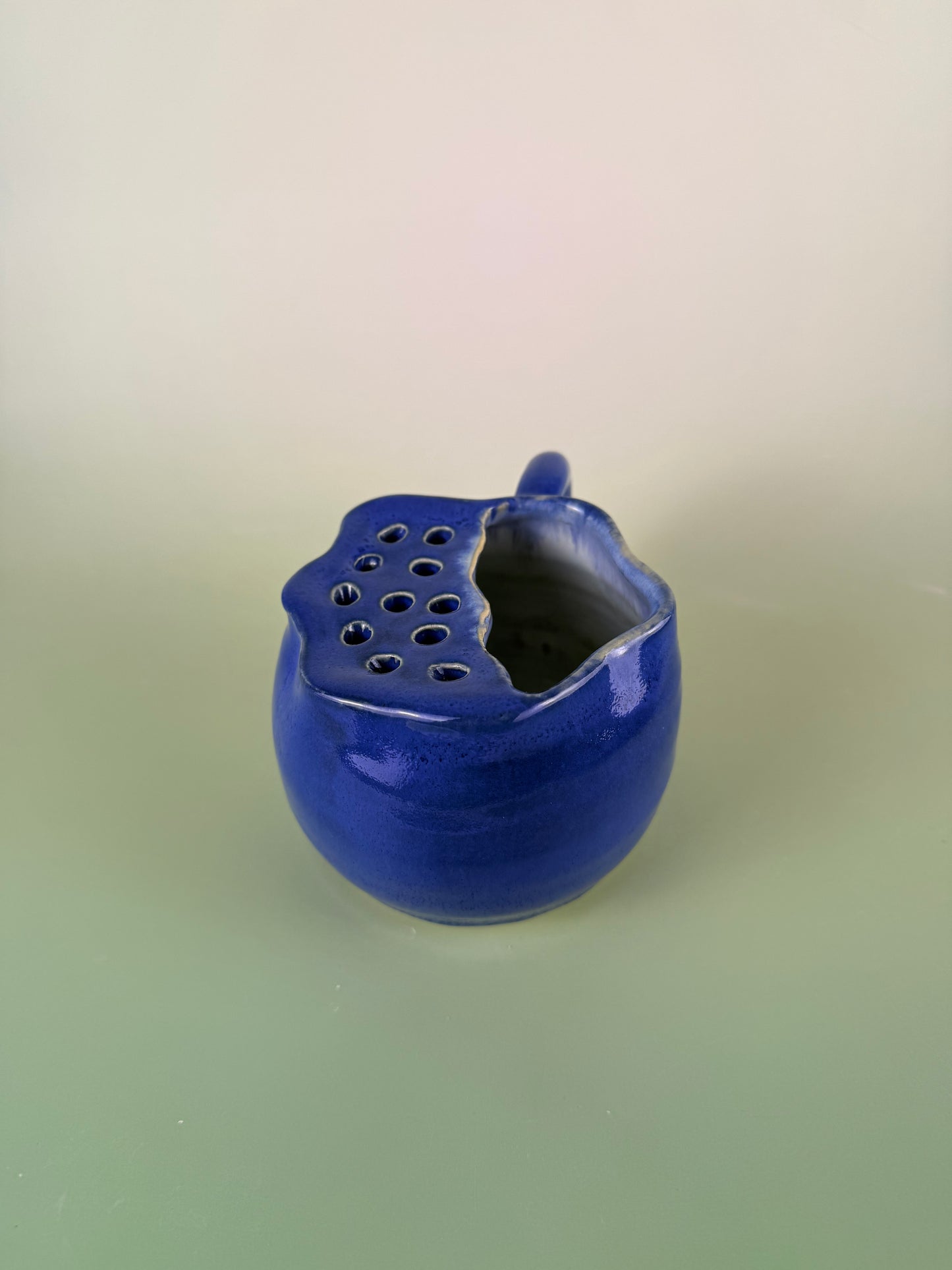 Blueberry berry bowl #4