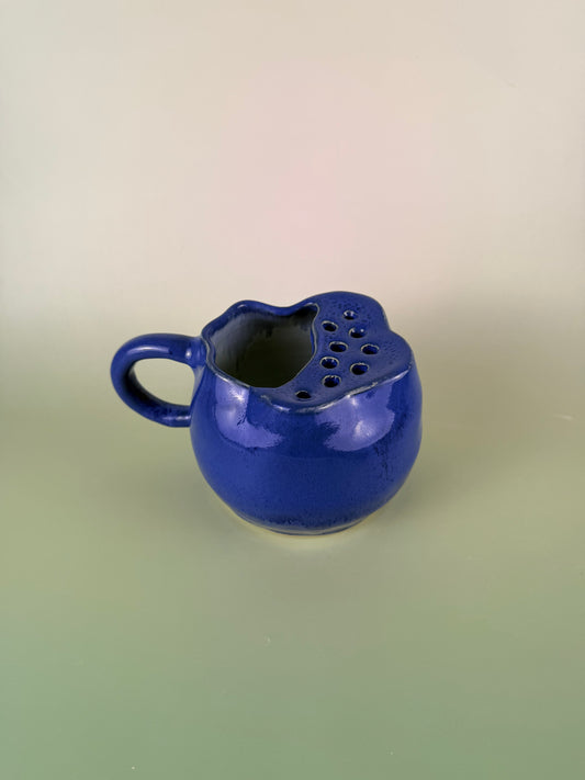 Blueberry berry bowl #1