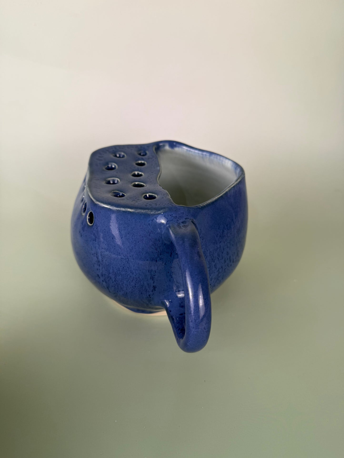 Blueberry berry bowl