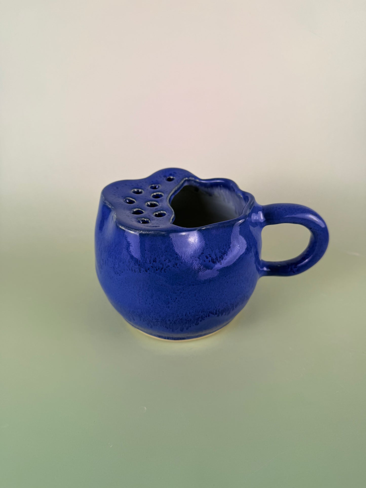 Blueberry berry bowl #1