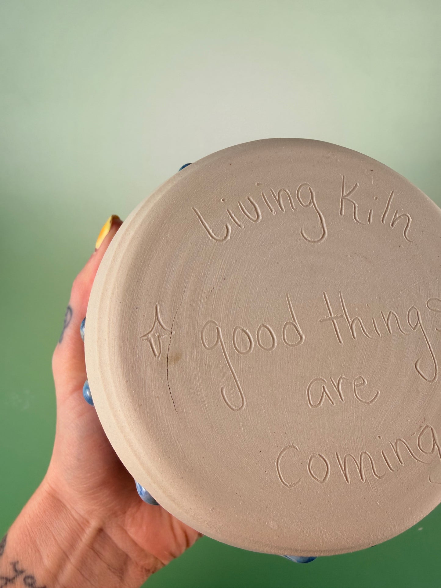 Berry bowl #9 - discounted