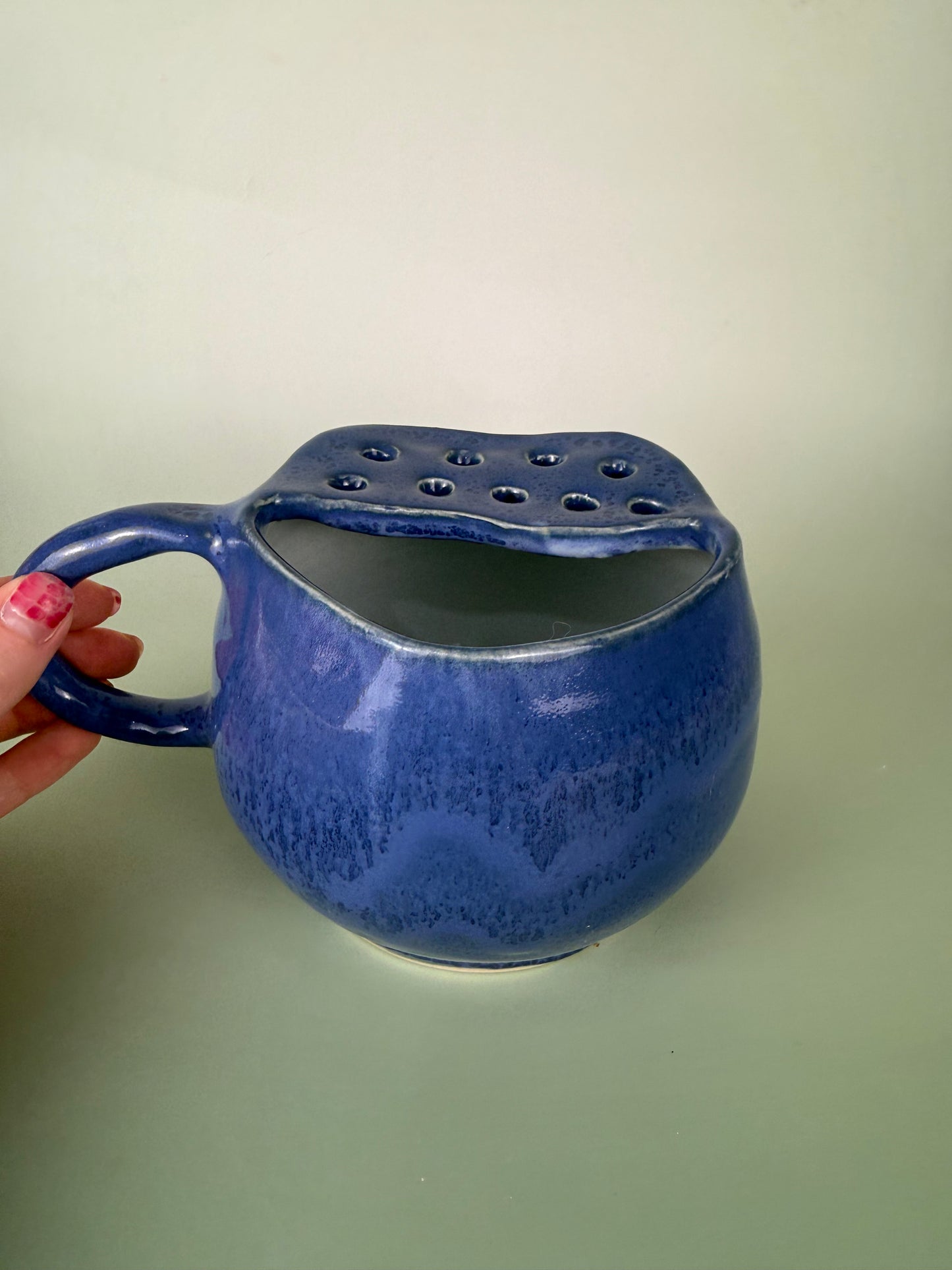 Blueberry berry bowl