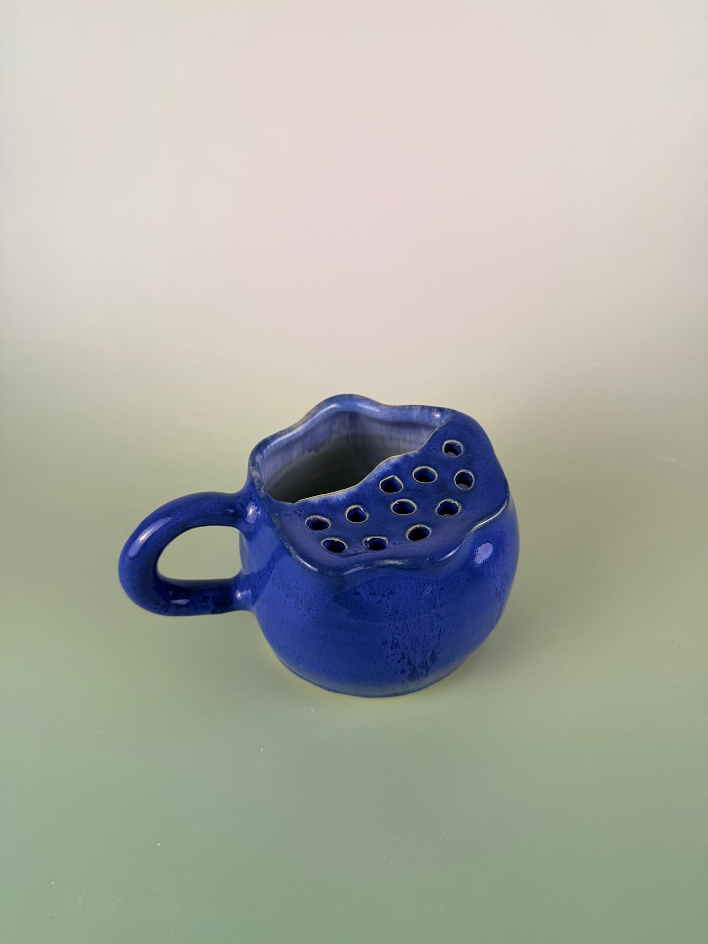 Blueberry berry bowl #4