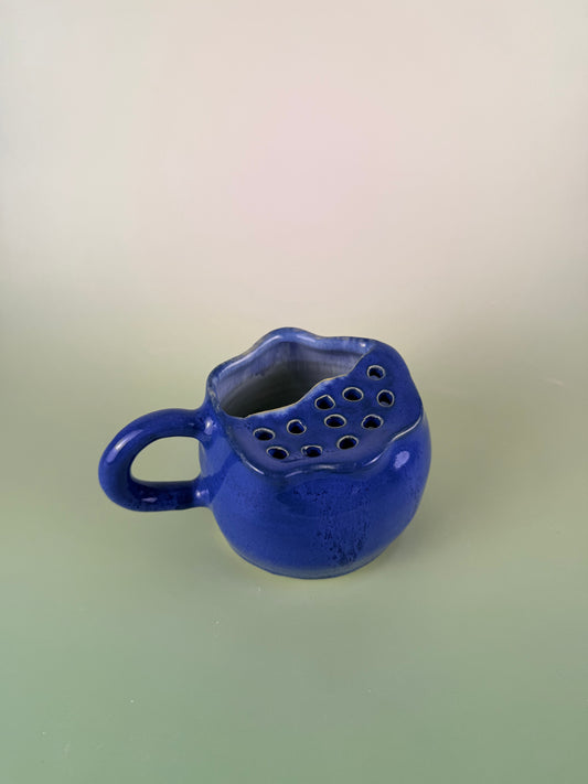 Blueberry berry bowl #4