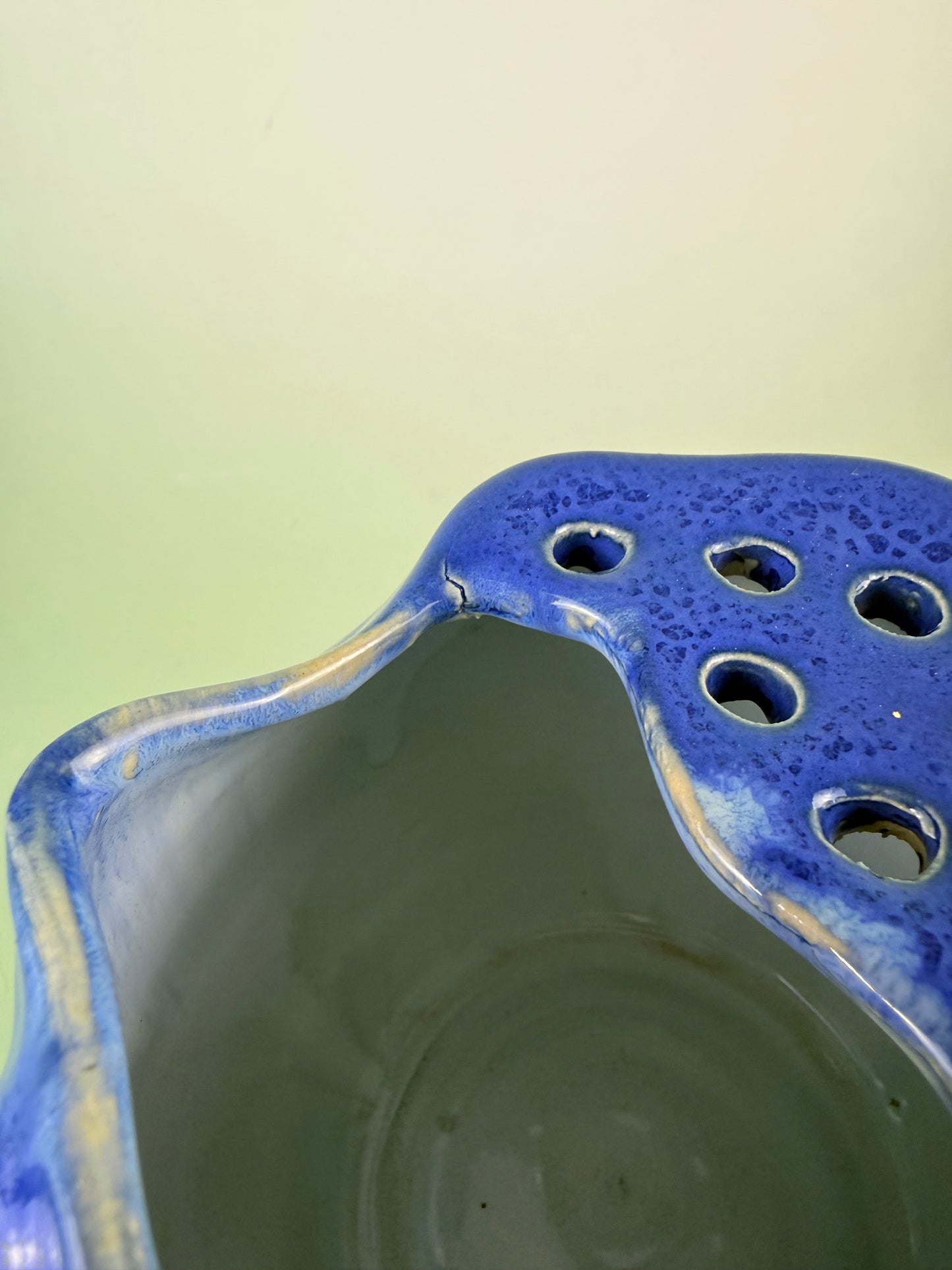 Blueberry berry bowl #2 discounted