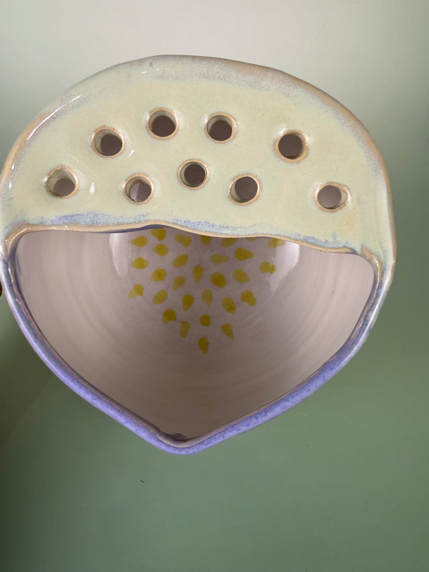 Fig berry bowl 1