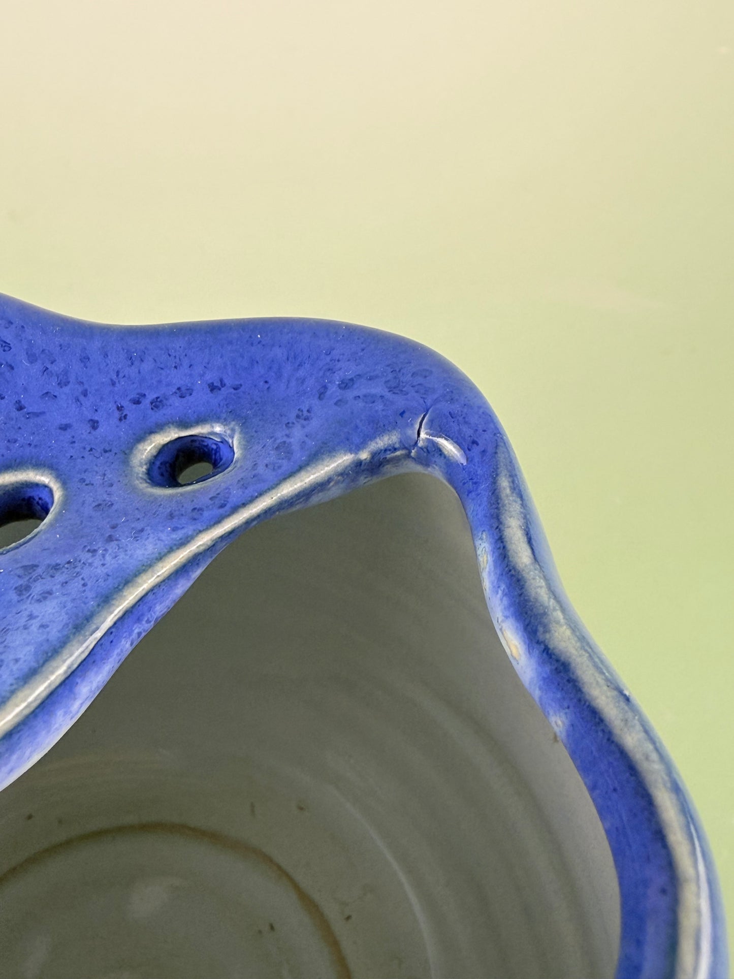 Blueberry berry bowl #3 discounted