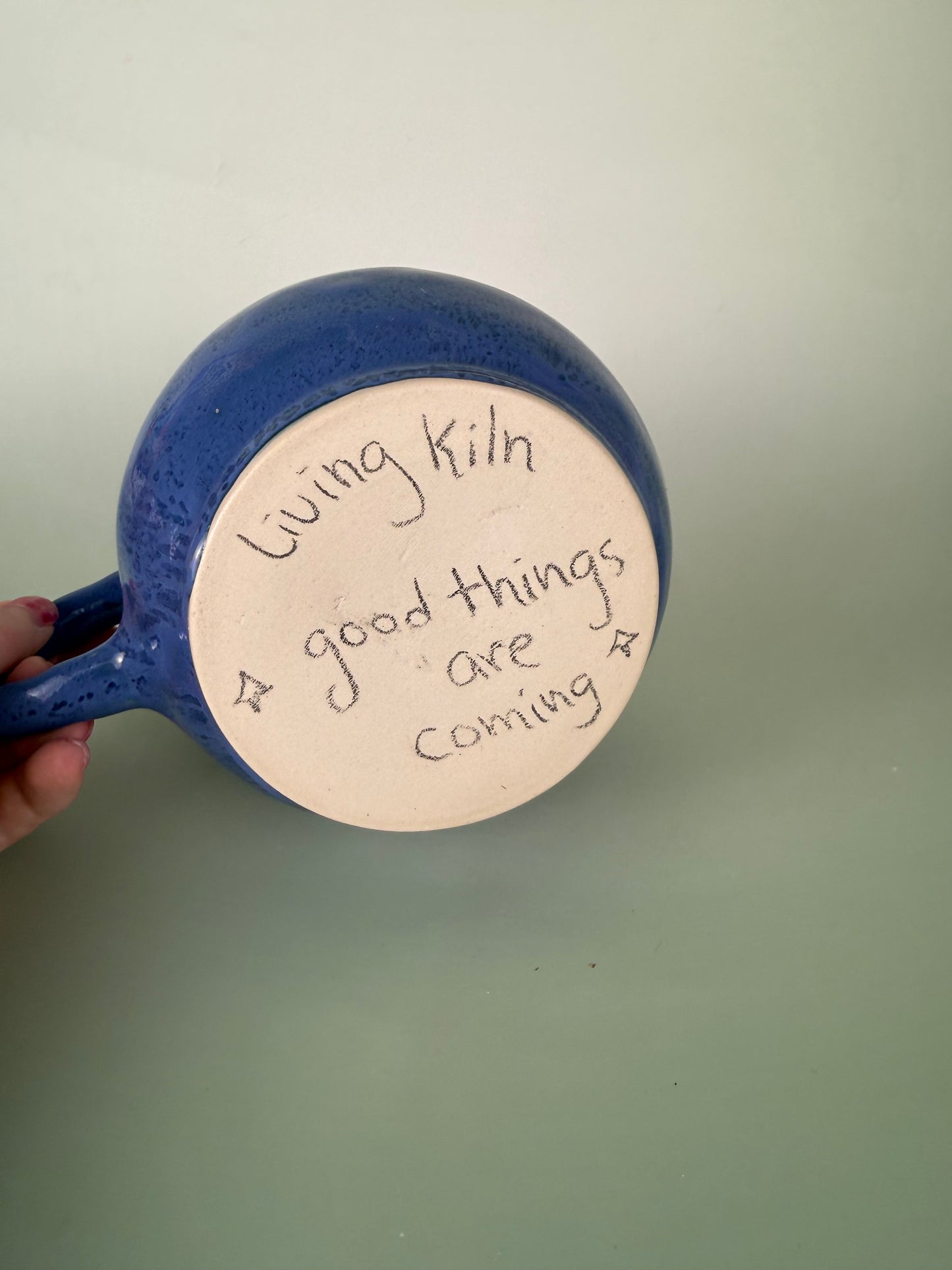 Blueberry berry bowl