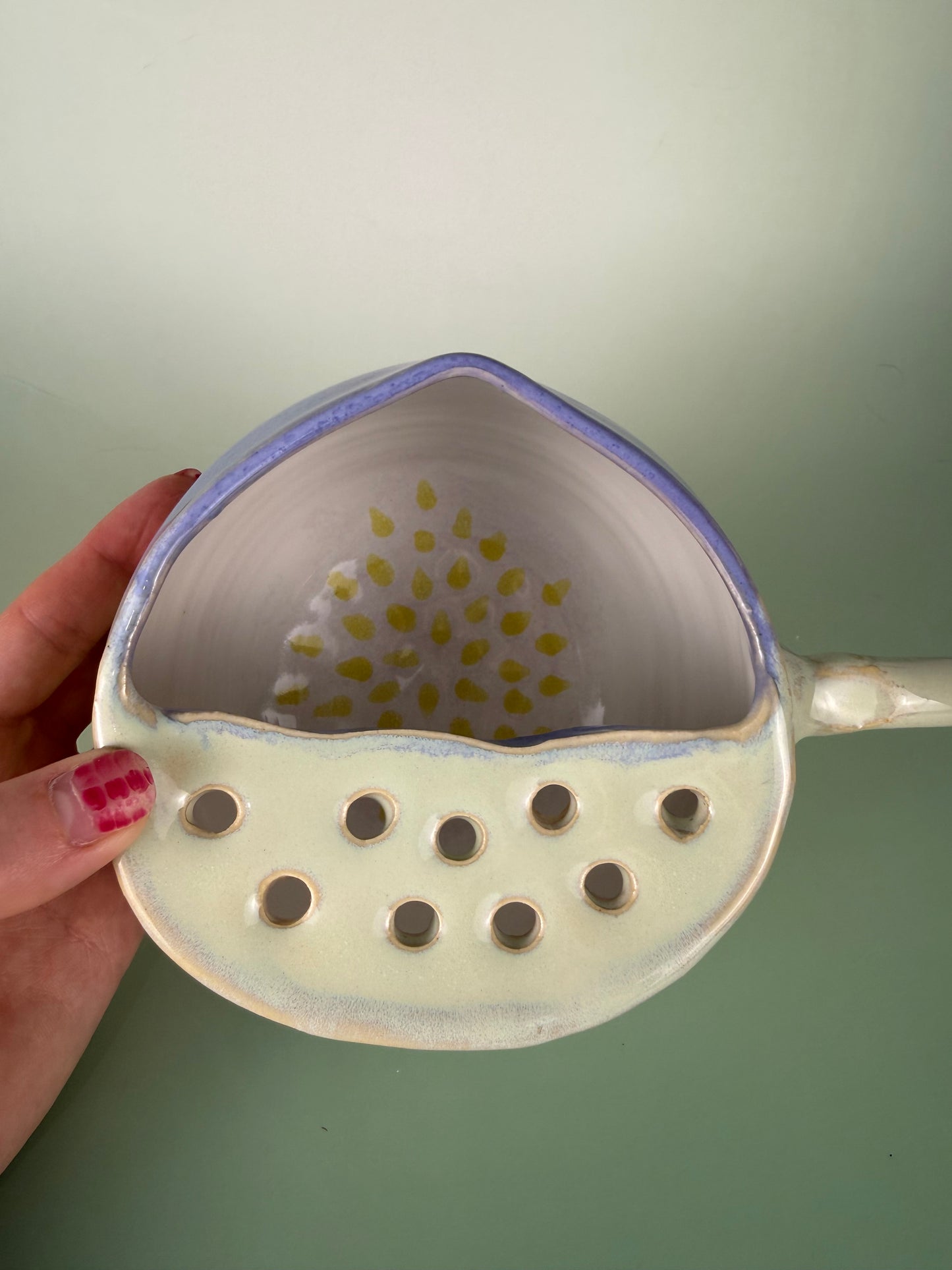 Fig berry bowl 1