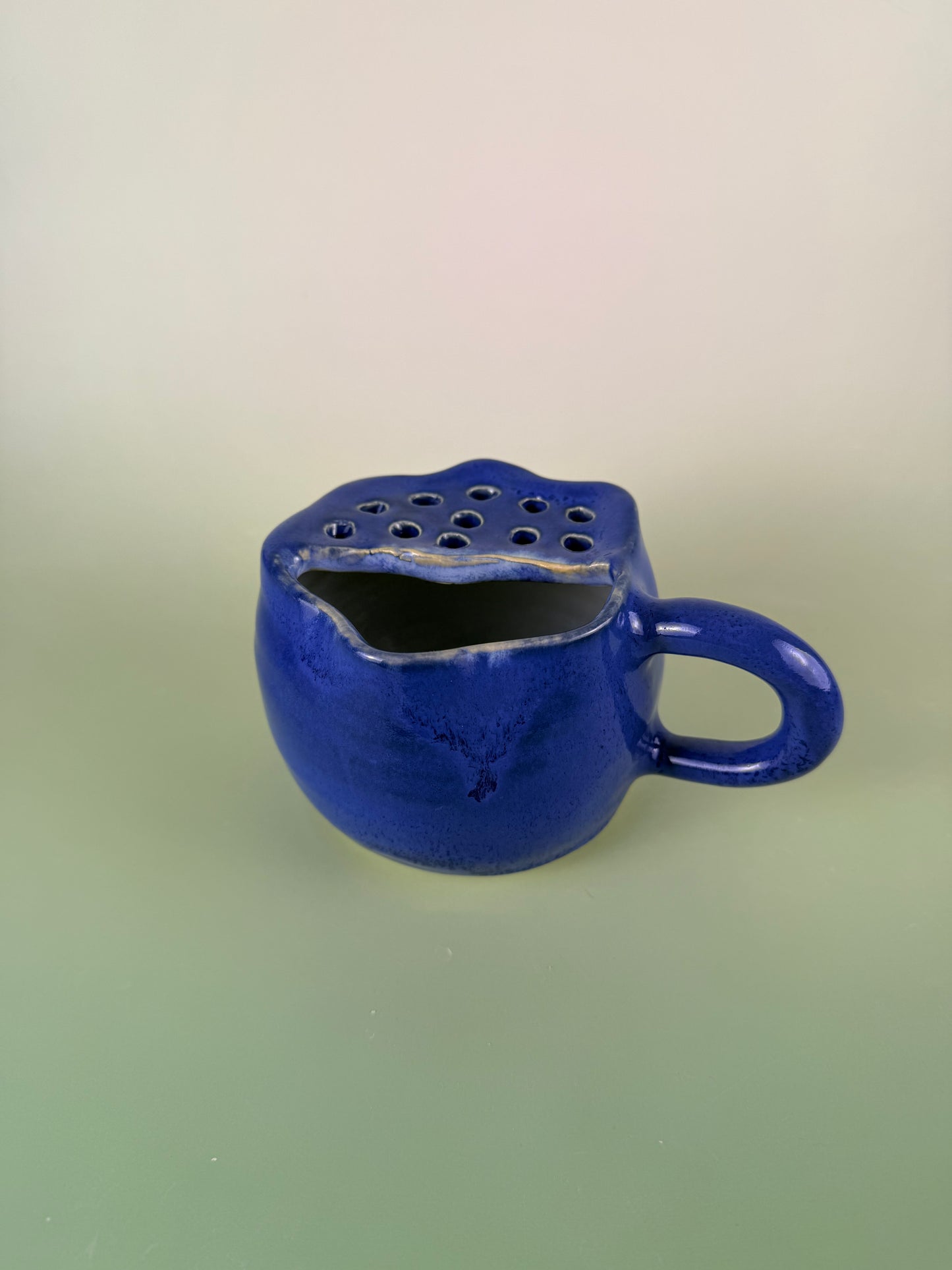 Blueberry berry bowl #4