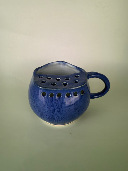 Blueberry berry bowl