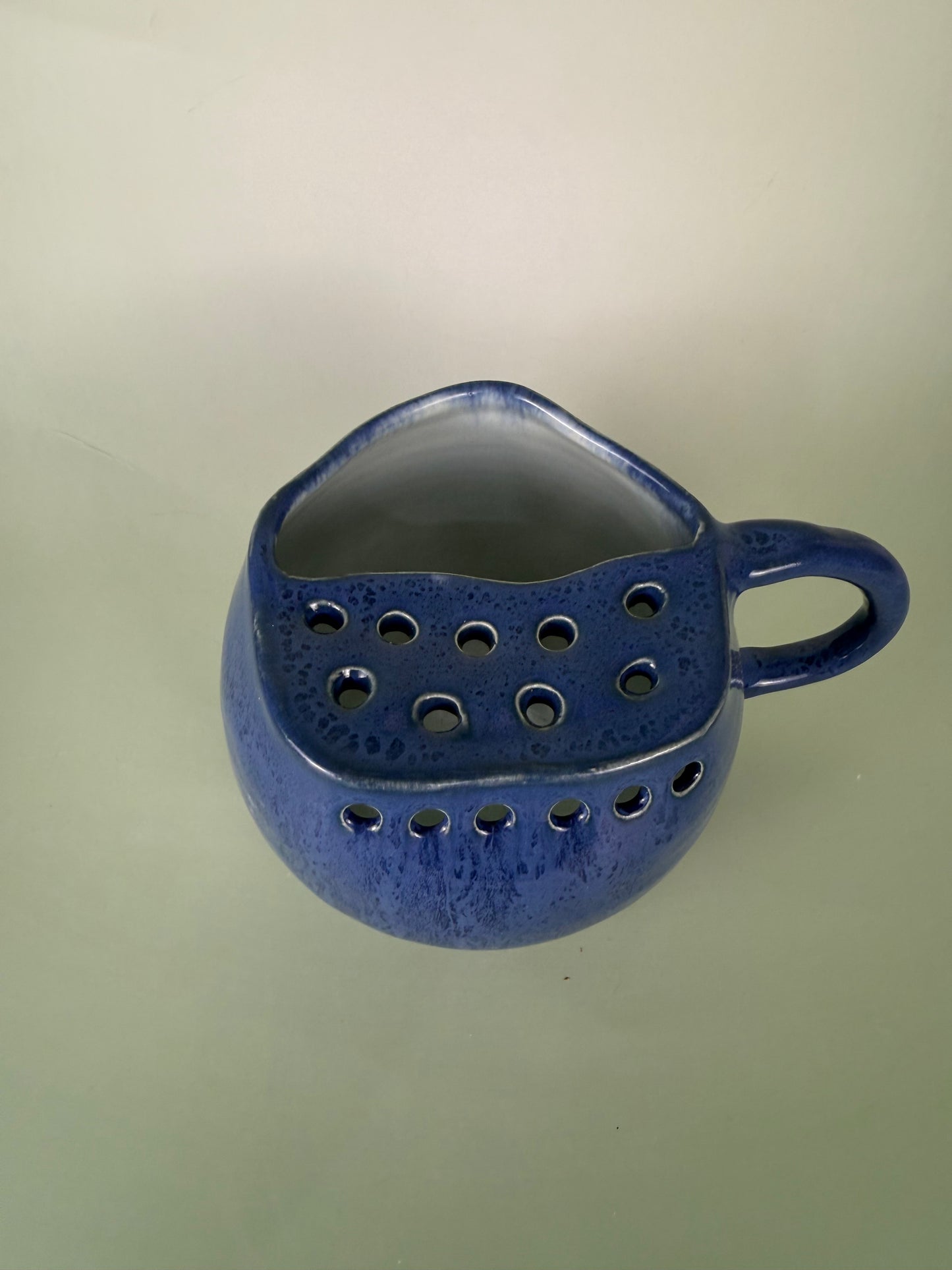 Blueberry berry bowl
